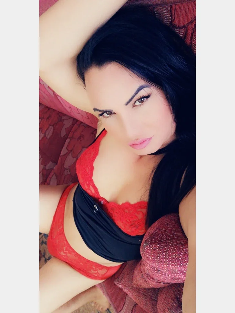 Sakarya Ferizli escort görseli